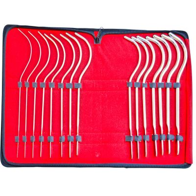 Guyon Urethral Sound Kit – Sex Toys